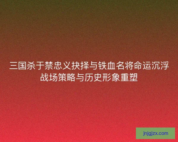 三国杀于禁忠义抉择与铁血名将命运沉浮战场策略与历史形象重塑